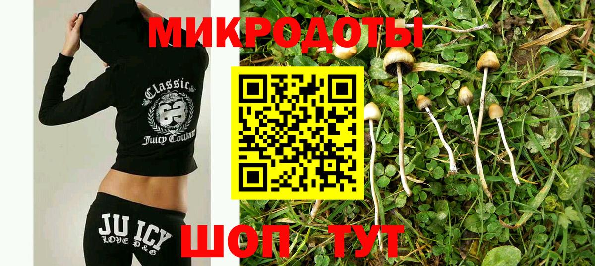 купить наркоту  Вход с VPN  Кудымкар  Псилоцибиновые грибы прущие грибы 